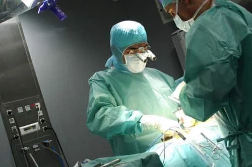Dr-Jean-Taylor