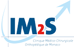 IM2S Logo