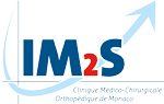 IM2S Logo