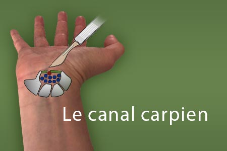 thumb-canal-carpien