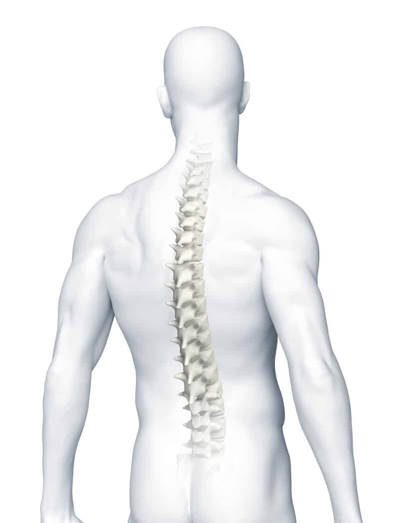 covid-rachis-spine covid-rachis-spine