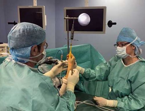 Actualités sur la Rhizarthrose