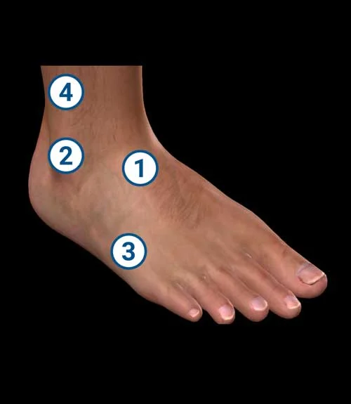 entorse-de-cheville-palpation