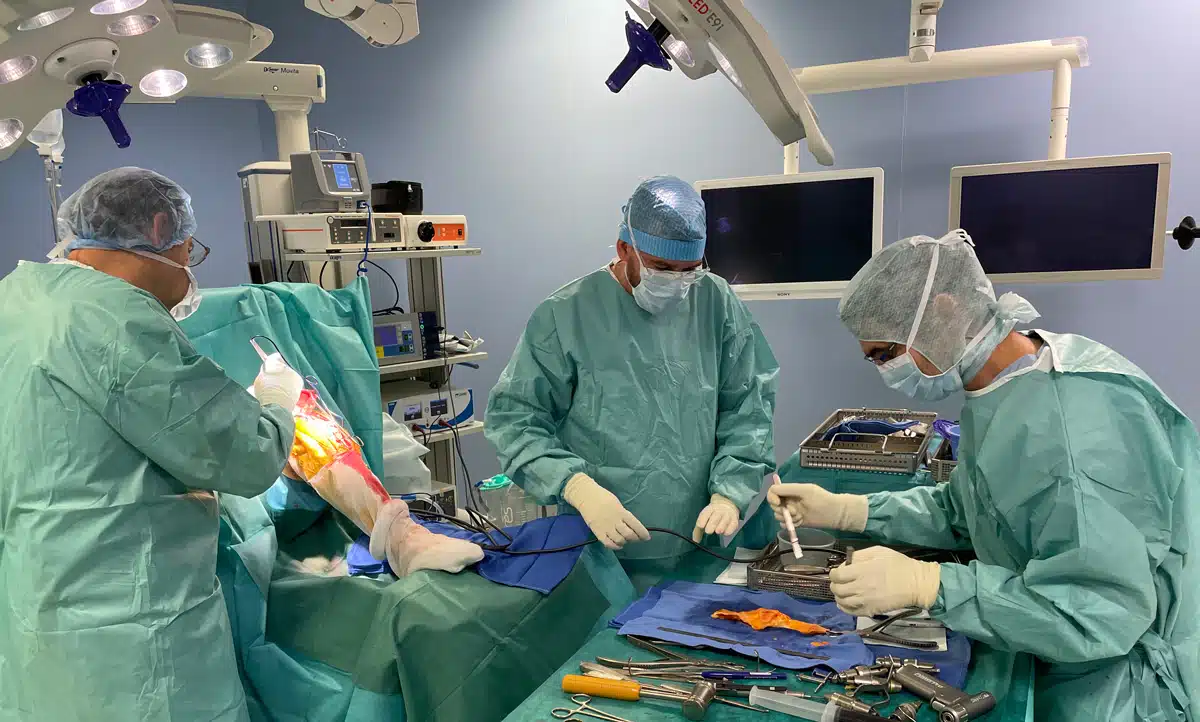 Dr Schlatterer et Dr d'Ollonne - chirurgie allogreffe genou