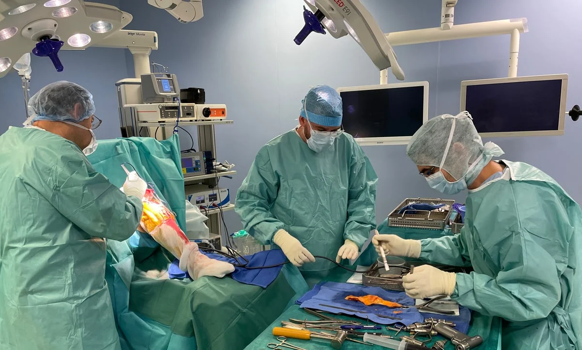 Dr Schlatterer et Dr d’Ollonne – chirurgie allogreffe genou Chirurgie Allogreffe d’appareil extenseur
