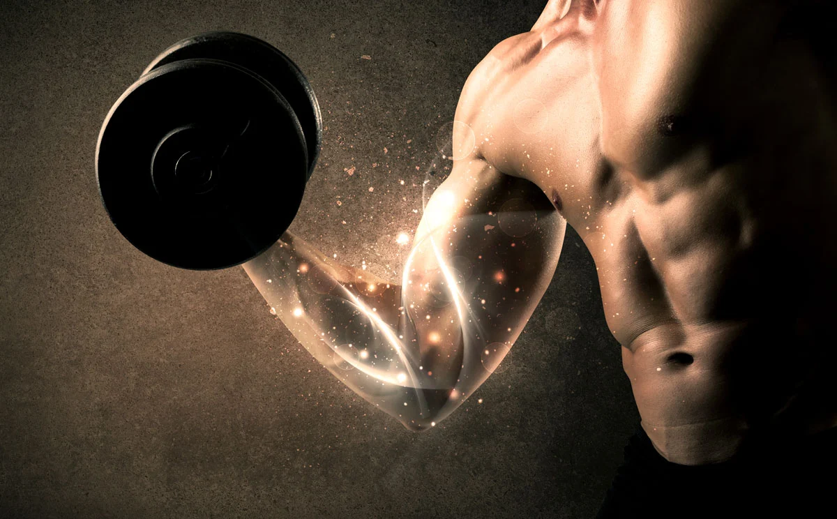 Rupture du biceps distal au coude